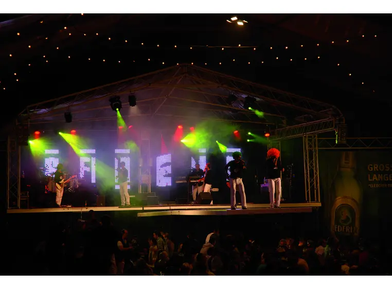 EUROLITE Audience Blinder 4xPAR-36 black 